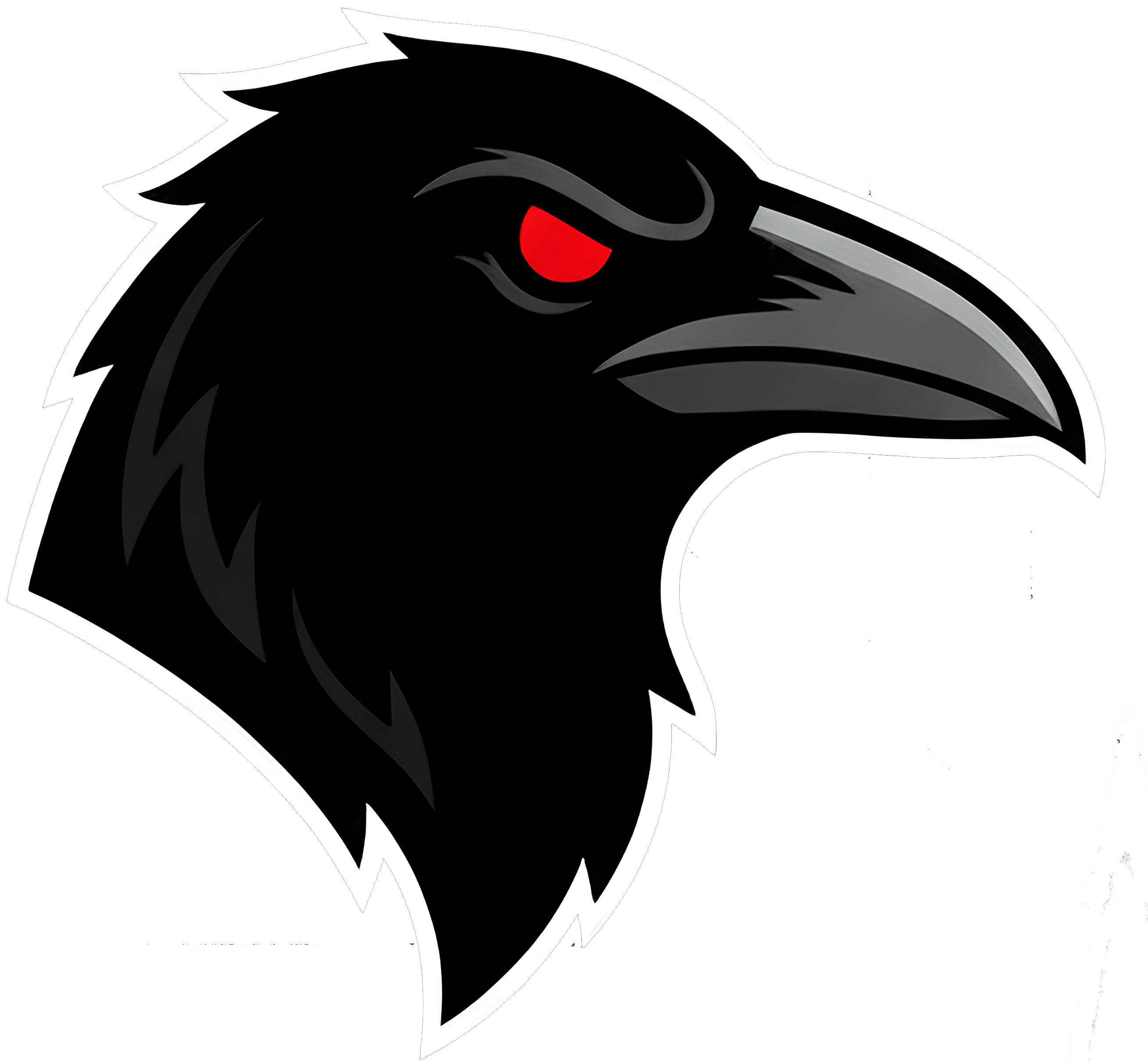 RedEye Raven logo